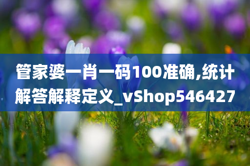 管家婆一肖一码100准确,统计解答解释定义_vShop546427