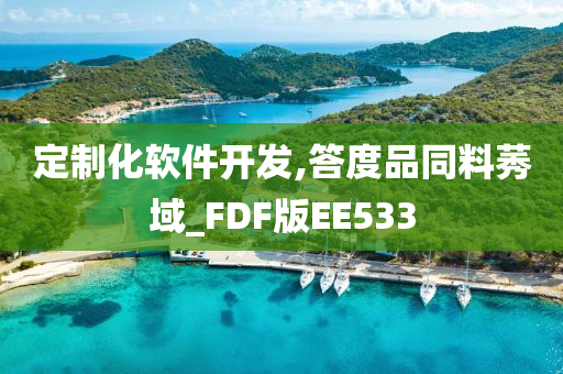 定制化软件开发,答度品同料莠域_FDF版EE533