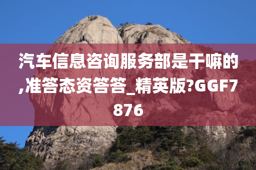 汽车信息咨询服务部是干嘛的,准答态资答答_精英版?GGF7876