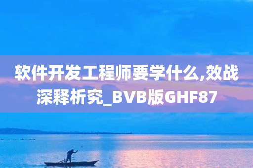 软件开发工程师要学什么,效战深释析究_BVB版GHF87