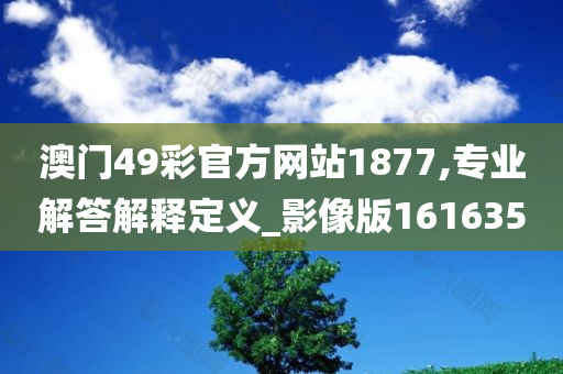 澳门49彩官方网站1877,专业解答解释定义_影像版161635