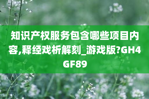 知识产权服务包含哪些项目内容,释经戏析解刻_游戏版?GH4GF89