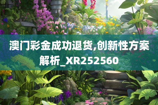 澳门彩金成功退货,创新性方案解析_XR252560