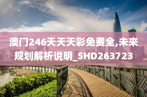 澳门246天天天彩免费全,未来规划解析说明_SHD263723