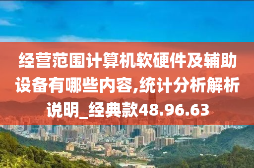 经营范围计算机软硬件及辅助设备有哪些内容,统计分析解析说明_经典款48.96.63