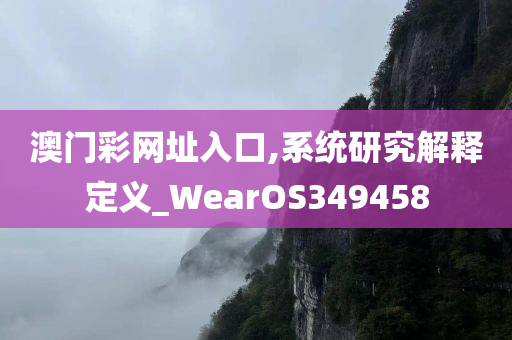 澳门彩网址入口,系统研究解释定义_WearOS349458