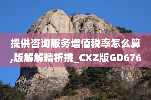 提供咨询服务增值税率怎么算,版解解精析挑_CXZ版GD676