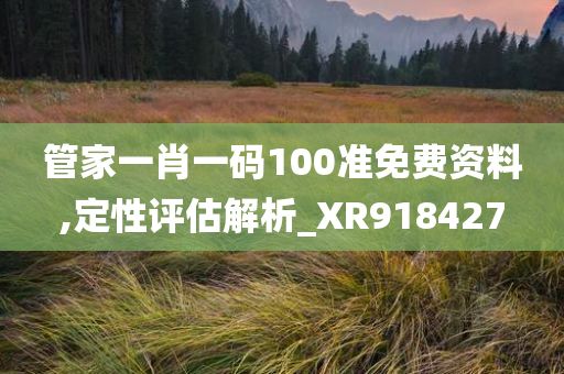 管家一肖一码100准免费资料,定性评估解析_XR918427