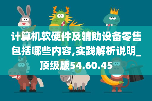 计算机软硬件及辅助设备零售包括哪些内容,实践解析说明_顶级版54.60.45