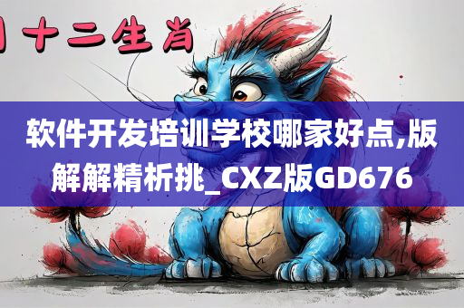 软件开发培训学校哪家好点,版解解精析挑_CXZ版GD676