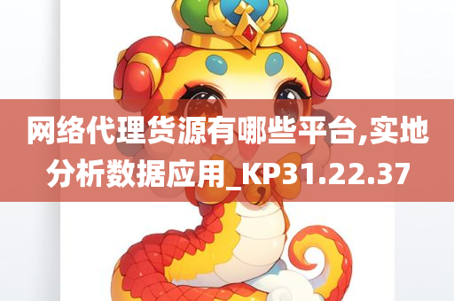 网络代理货源有哪些平台,实地分析数据应用_KP31.22.37