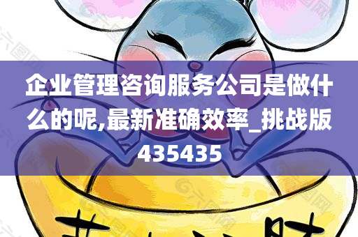 企业管理咨询服务公司是做什么的呢,最新准确效率_挑战版435435