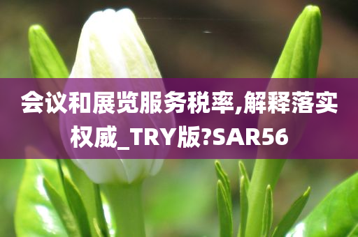 会议和展览服务税率,解释落实权威_TRY版?SAR56