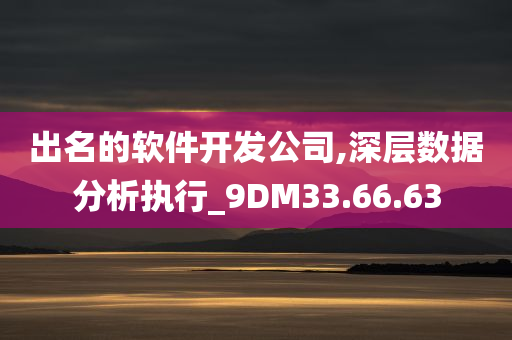 出名的软件开发公司,深层数据分析执行_9DM33.66.63