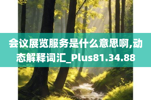 会议展览服务是什么意思啊,动态解释词汇_Plus81.34.88