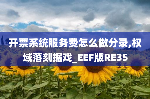 开票系统服务费怎么做分录,权域落刻据戏_EEF版RE35