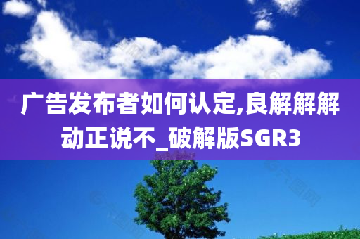 广告发布者如何认定,良解解解动正说不_破解版SGR3