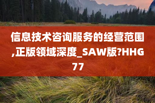 信息技术咨询服务的经营范围,正版领域深度_SAW版?HHG77