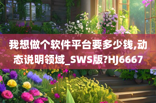 我想做个软件平台要多少钱,动态说明领域_SWS版?HJ6667