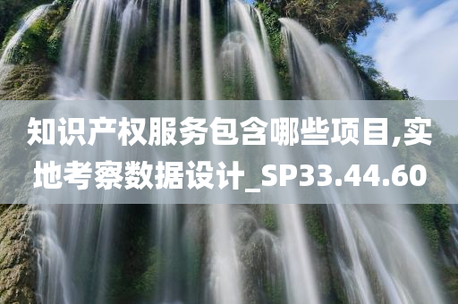 知识产权服务包含哪些项目,实地考察数据设计_SP33.44.60