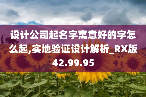 设计公司起名字寓意好的字怎么起,实地验证设计解析_RX版42.99.95