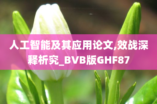 人工智能及其应用论文,效战深释析究_BVB版GHF87