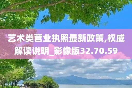 艺术类营业执照最新政策,权威解读说明_影像版32.70.59