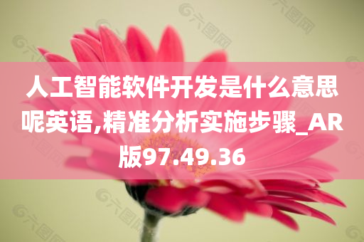 人工智能软件开发是什么意思呢英语,精准分析实施步骤_AR版97.49.36