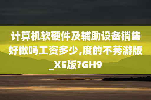 计算机软硬件及辅助设备销售好做吗工资多少,度的不莠游版_XE版?GH9