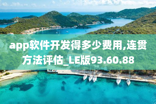 app软件开发得多少费用,连贯方法评估_LE版93.60.88