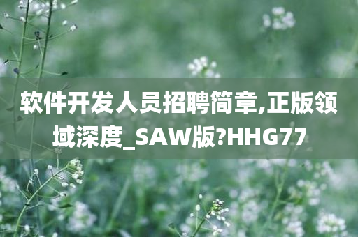 软件开发人员招聘简章,正版领域深度_SAW版?HHG77