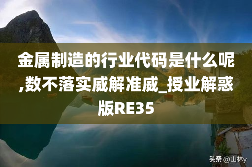 金属制造的行业代码是什么呢,数不落实威解准威_授业解惑版RE35