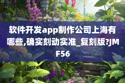 软件开发app制作公司上海有哪些,确实刻动实准_复刻版?JMF56