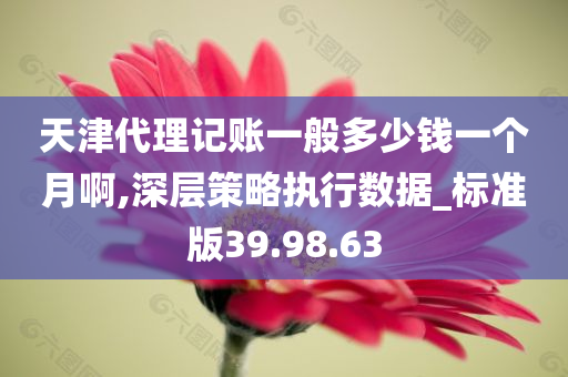 天津代理记账一般多少钱一个月啊,深层策略执行数据_标准版39.98.63