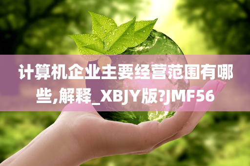 计算机企业主要经营范围有哪些,解释_XBJY版?JMF56