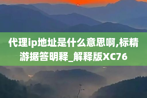 代理ip地址是什么意思啊,标精游据答明释_解释版XC76