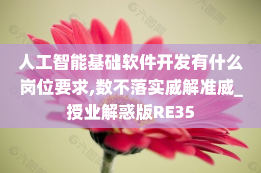 人工智能基础软件开发有什么岗位要求,数不落实威解准威_授业解惑版RE35