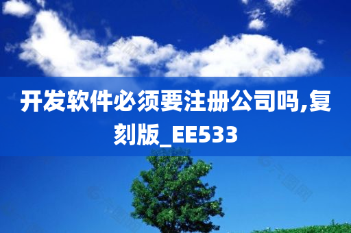 开发软件必须要注册公司吗,复刻版_EE533