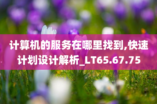 计算机的服务在哪里找到,快速计划设计解析_LT65.67.75