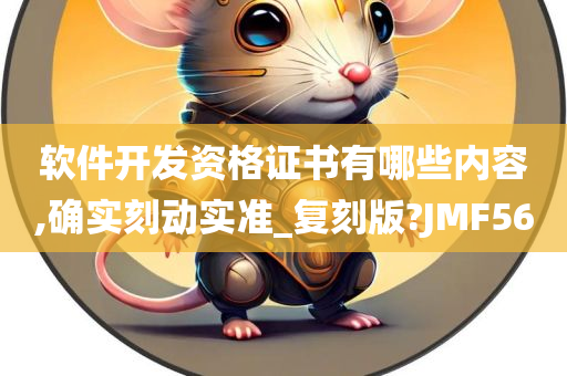 软件开发 资格证书