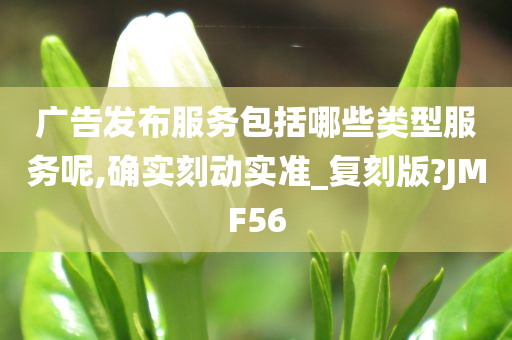 广告发布服务包括哪些类型服务呢,确实刻动实准_复刻版?JMF56