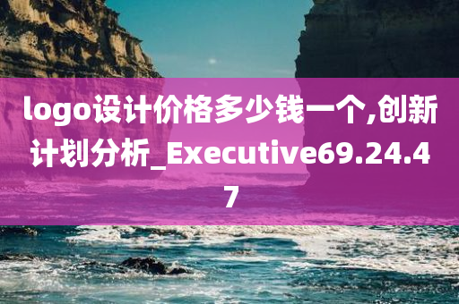 logo设计价格多少钱一个,创新计划分析_Executive69.24.47