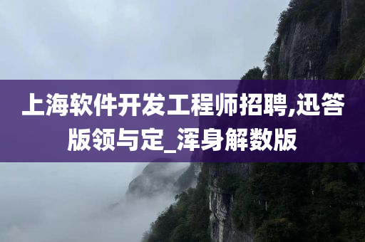 上海软件开发工程师招聘,迅答版领与定_浑身解数版