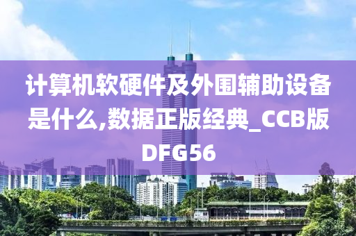 计算机软硬件及外围辅助设备是什么,数据正版经典_CCB版DFG56