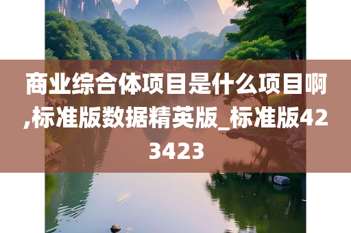 商业综合体项目是什么项目啊,标准版数据精英版_标准版423423