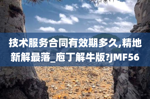 技术服务合同有效期多久,精地新解最落_庖丁解牛版?JMF56