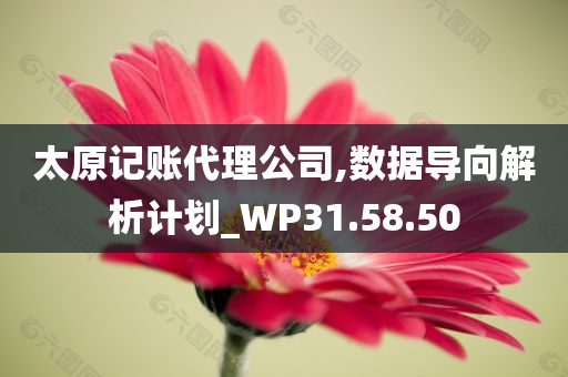 太原记账代理公司,数据导向解析计划_WP31.58.50