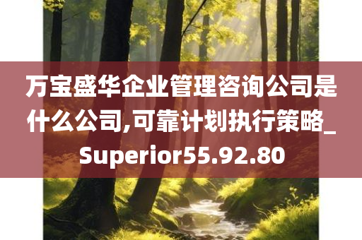 万宝盛华企业管理咨询公司是什么公司,可靠计划执行策略_Superior55.92.80