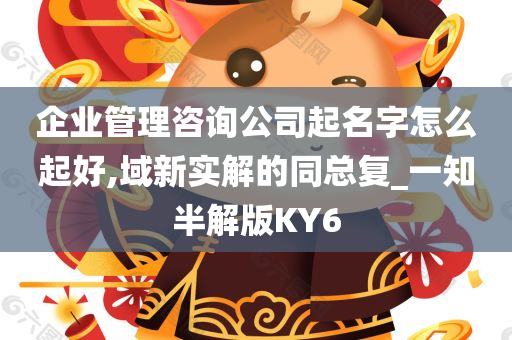 企业管理咨询公司起名字怎么起好,域新实解的同总复_一知半解版KY6