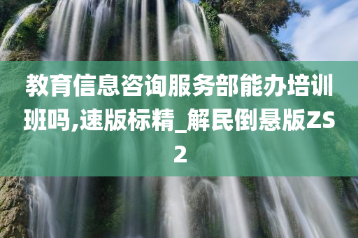 教育信息咨询服务部能办培训班吗,速版标精_解民倒悬版ZS2